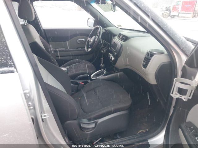 WhatsApp Image 2025-05-19 at 6.16.09 AM (2)