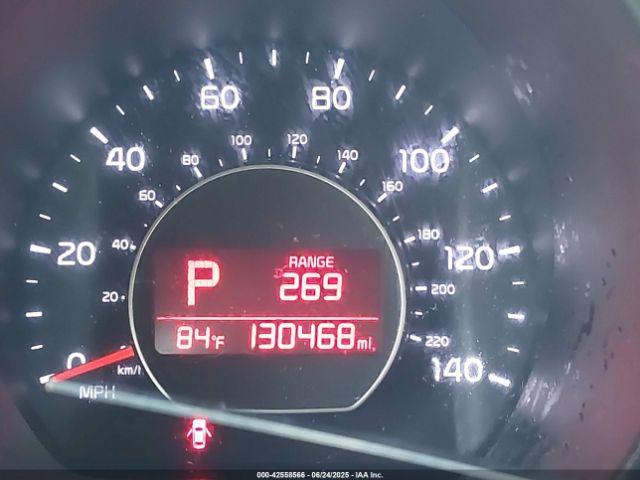 42558566_16_I
